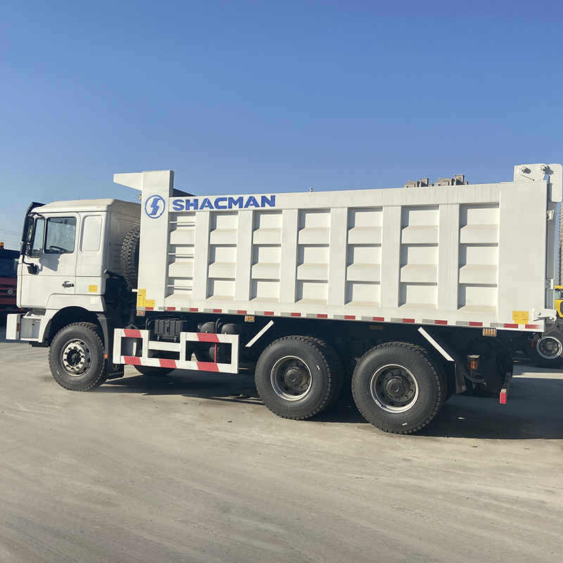 Professional Design Shacman 6*4 Diesel 400hp Euro2/3 20cbm Dump Truck from China